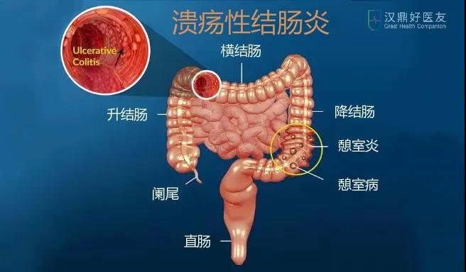 微信图片_20200831161818.jpg