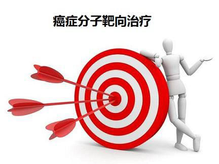 靶向治疗