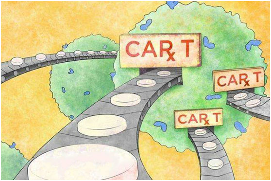 CAR-T疗法