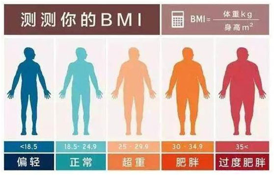 肥胖的标准划分