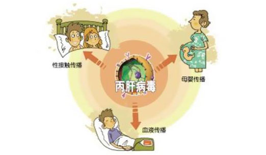 丙肝的传播途径