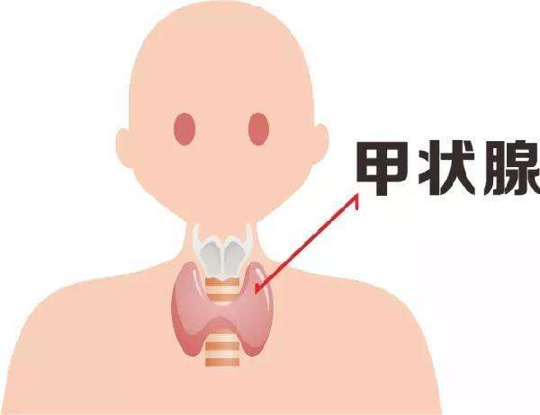 甲状腺癌8.jpg