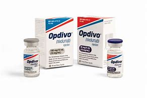 OIP.SfReogefEd_KjcyDOJaZIgHaE8.jpg