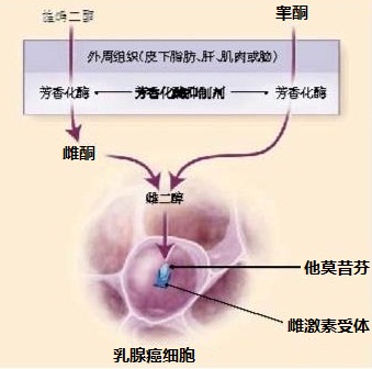 2016211602633737.jpg