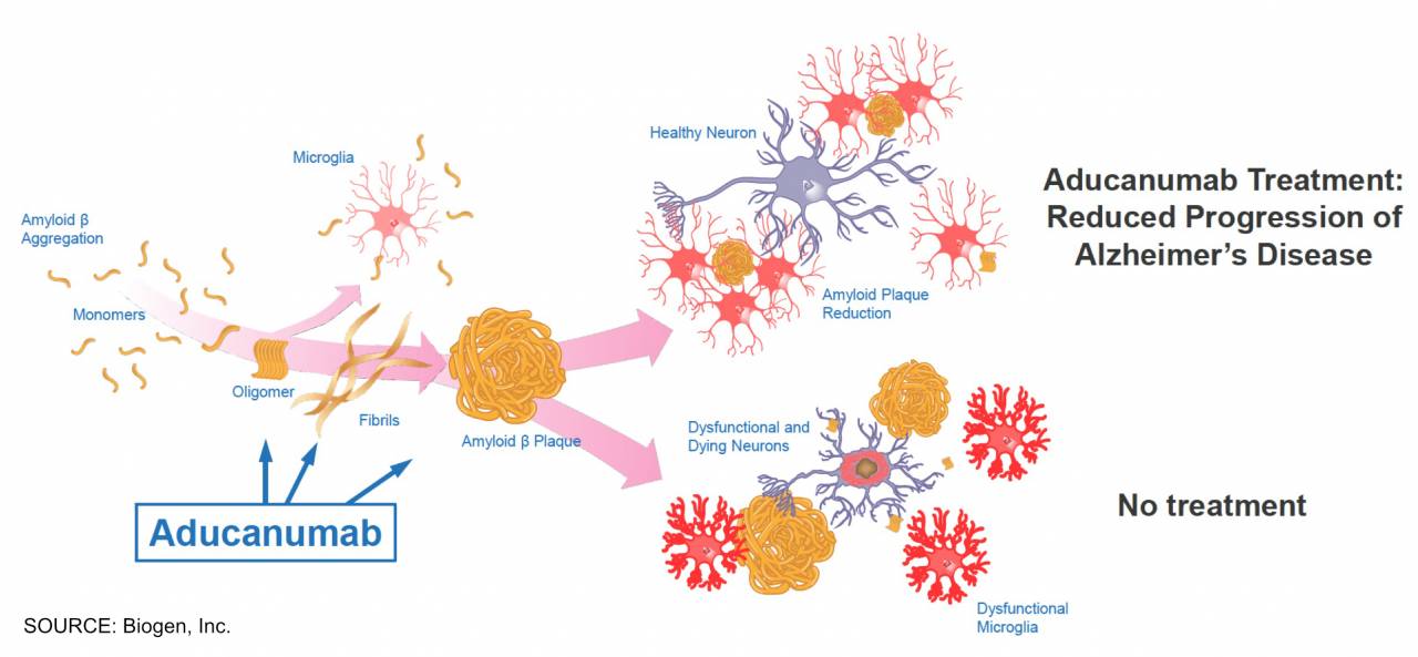 aducanumab-1-1280x593.jpg