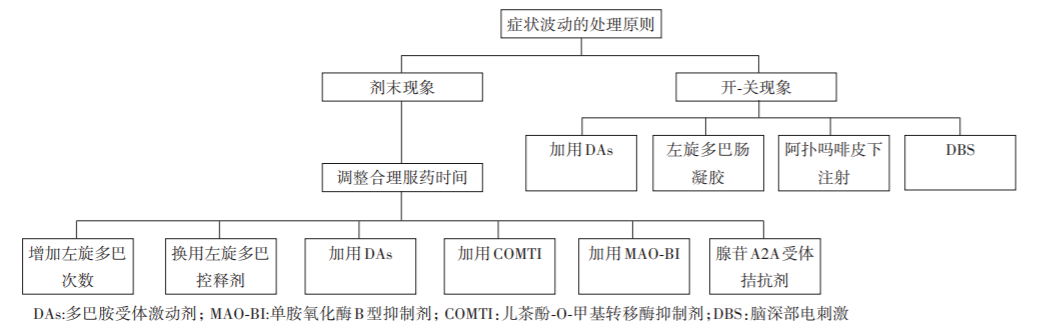 0809图：帕金森病患者症状波动的处理原则.png
