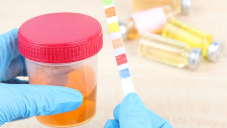www.humanhealth.com.hk.jpg