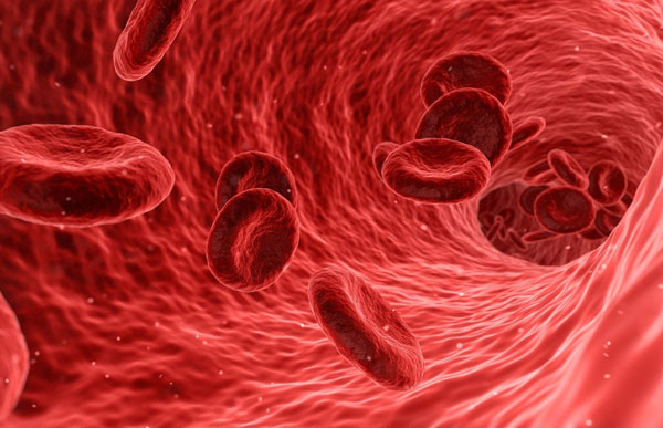 1-bloodcells.jpg