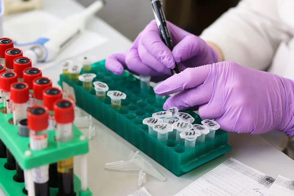 laboratory-3827745_960_720.webp.jpg