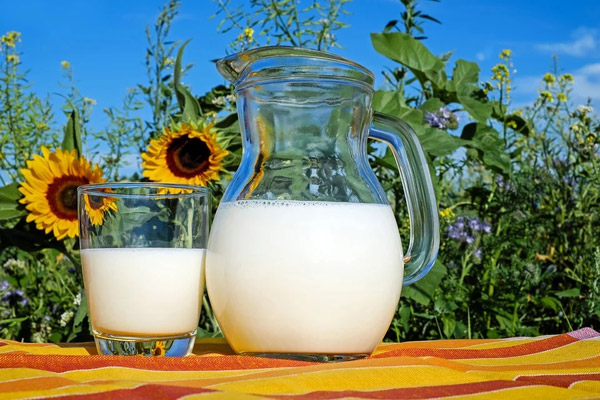 milk-2474993_960_720.webp.jpg